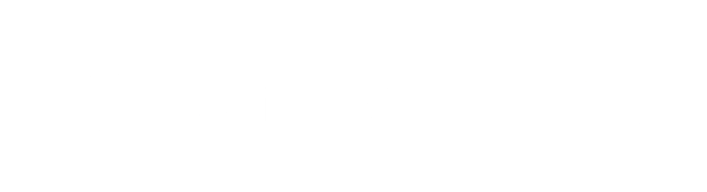 NE Solutions Logo